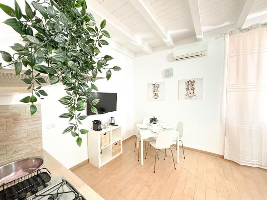 Liberta House Palermo